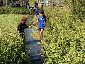 Read more about the article 第三區-學習提升—探索客家魂，守護水雉心12/02【成果】